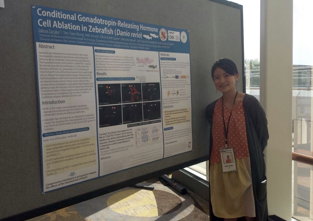 Sakura Tanaka presents a poster on her research