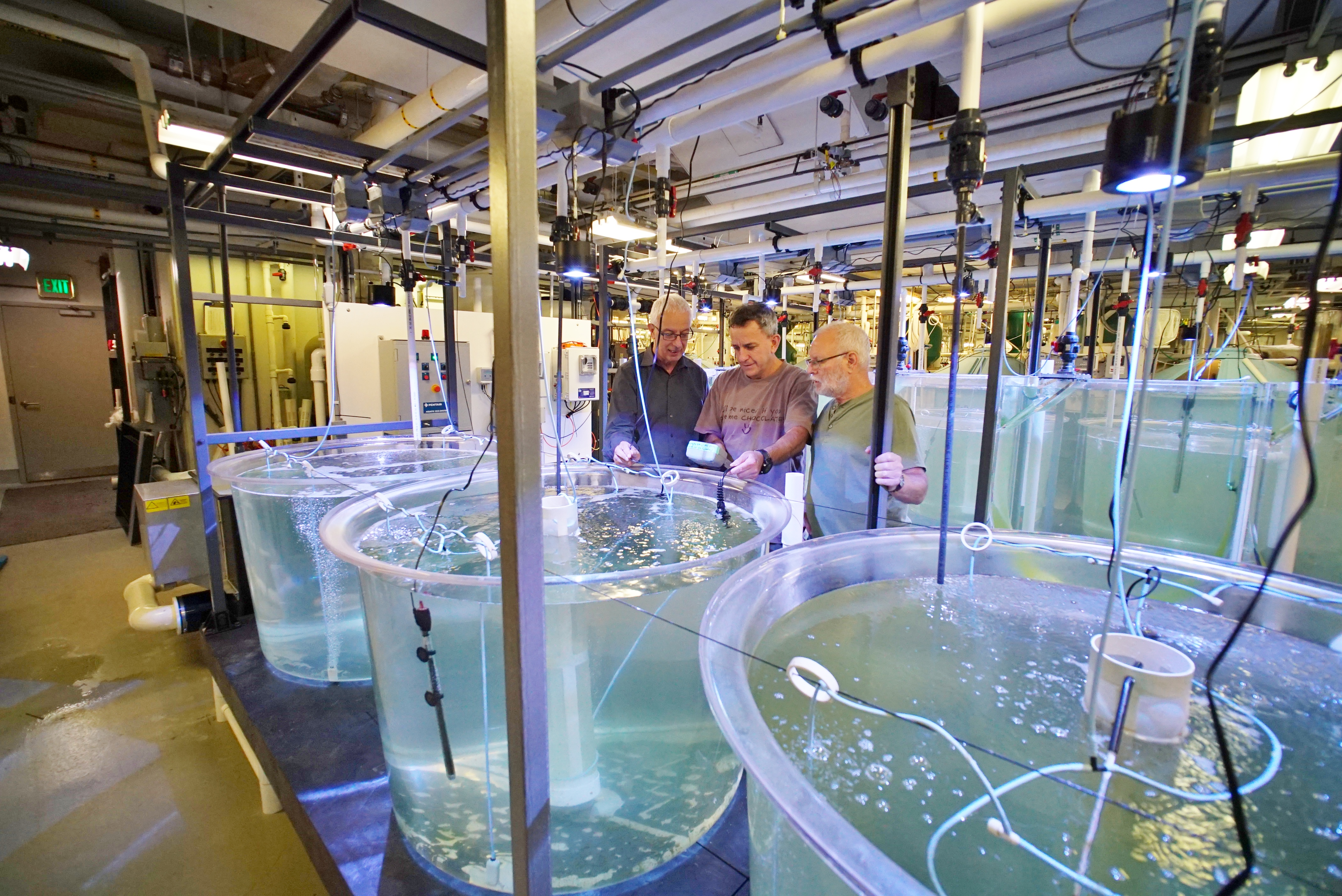 Jorge Gomezjurado and two other scientists stand at a tank in the Aquaculture Research Center