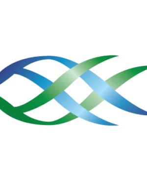 Abstract blue and green interwoven shapes forming a symmetrical wave-like logo.