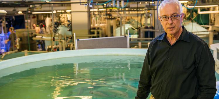 Dr. Zohar stands with his hand on a large round tank of fish