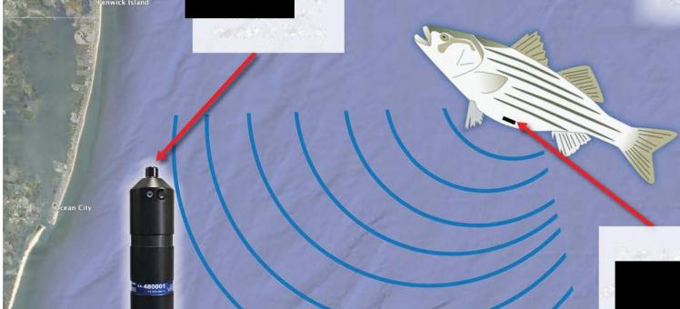 map with image of fish and receiver