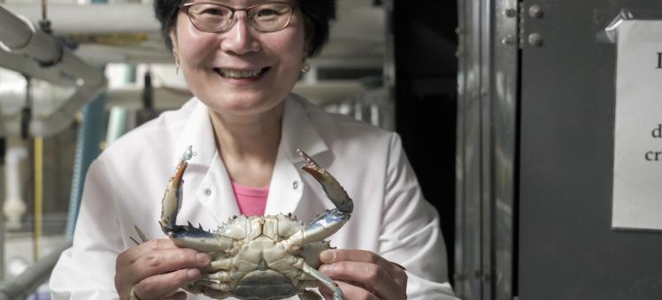 Sook Chung holds a blue crab in a lab