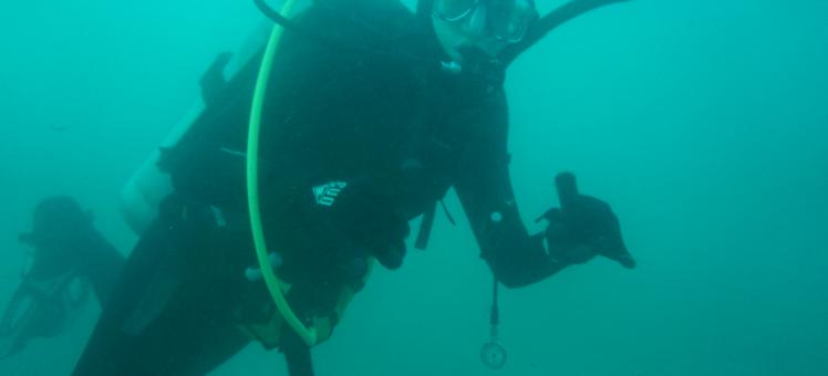 Chelsea Bergman SCUBA diving