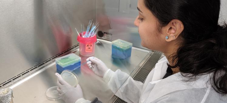 Nidhi Satishkumar working in a lab