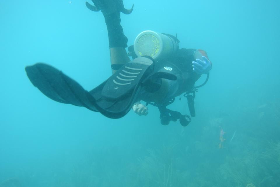 Scuba diver swimming, seen from behind