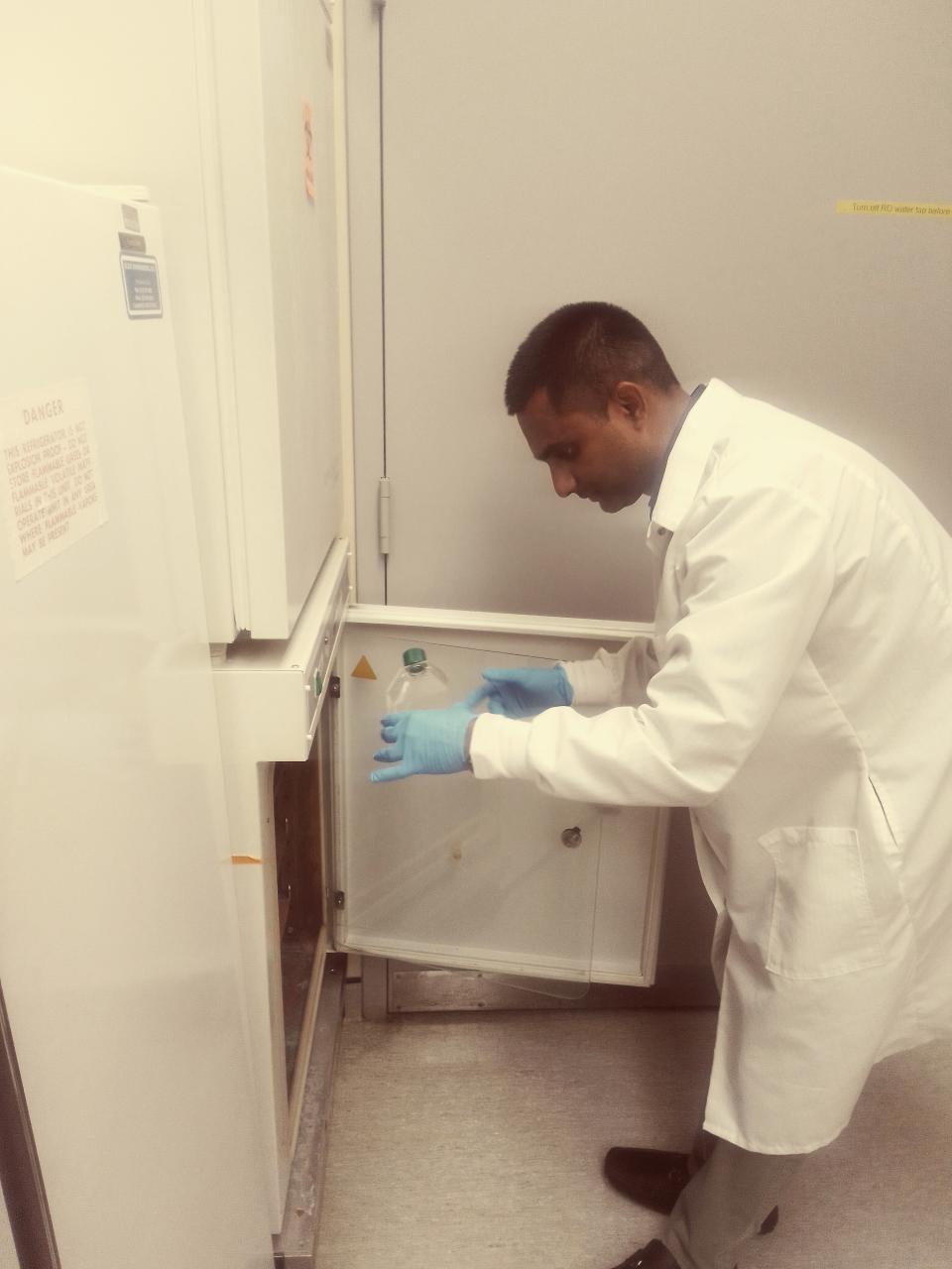 Muddassar Iqbal, wearing a lab coat and gloves, puts a sample into a refrigerator
