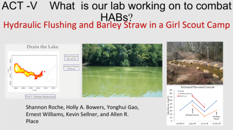 hydraulic flushing and barley straw in a girl scout camp to combat harmful algae blooms