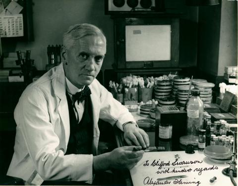 photo of Alexander Fleming in his lab