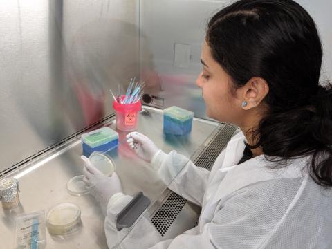 Nidhi Satishkumar working in a lab