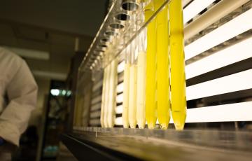 Algae Bank