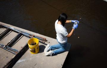 Makayla Stewart takes water sample from the Inner Harbor, examining for a potential mahogany tide.