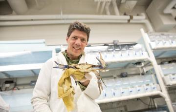 Image of Dr. Eric Schott holding a blue crab in a laboratory