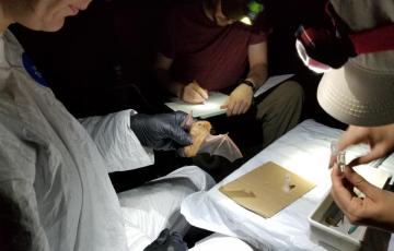 one scientist holds a bat while the other two take notes. All wear headlamps
