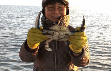 Dr. Chung holds up a large male blue crab