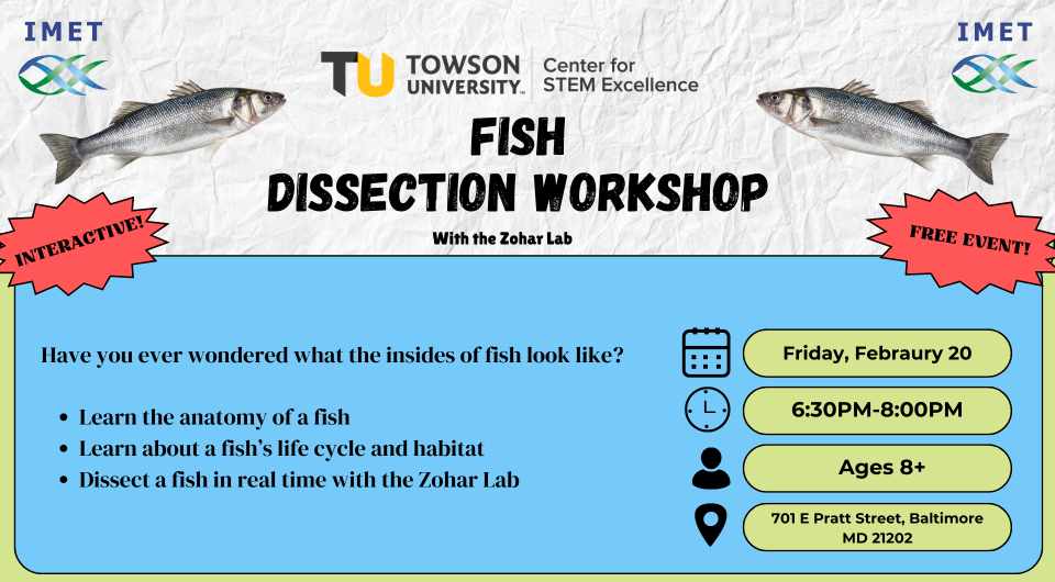 fish dissection 