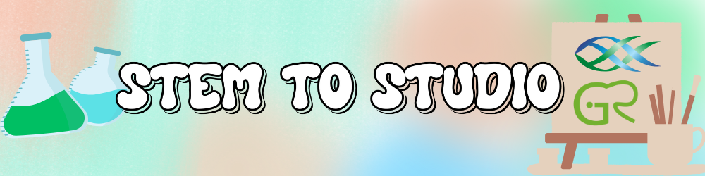 STEM TO STUDIO