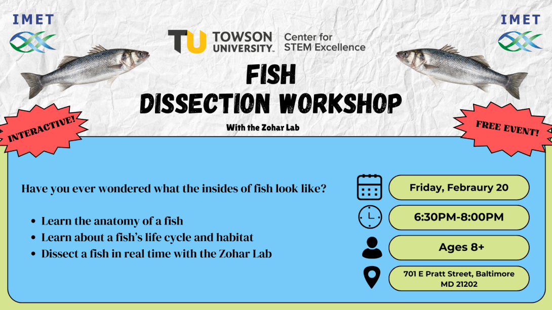 fish dissection 