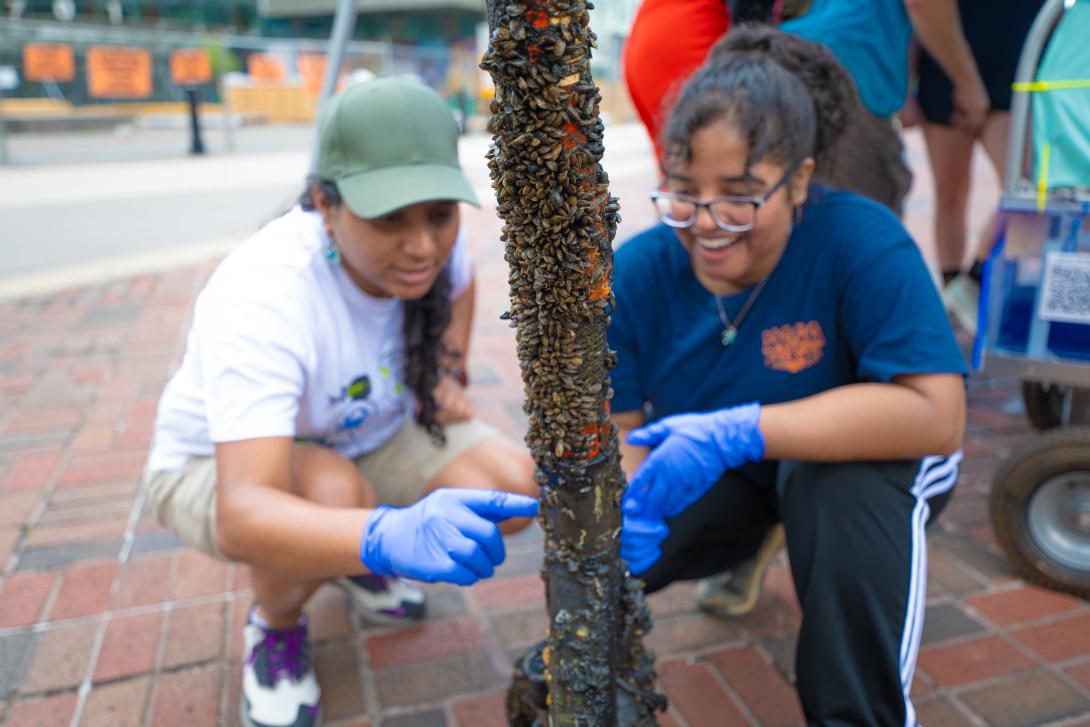 Ronita and a summer intern looking at a pole with barnacles on it