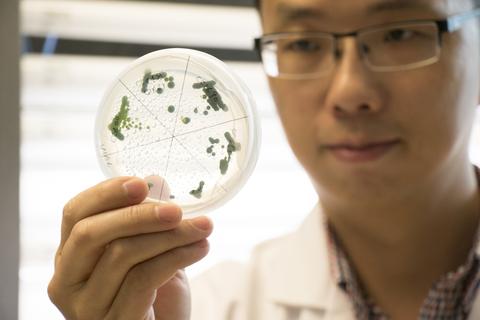 yantao li holding up algae culture to the camera 